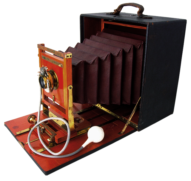 ���������� ���� �������� �������